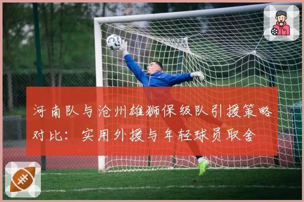 河南队与沧州雄狮保级队引援策略对比：实用外援与年轻球员取舍