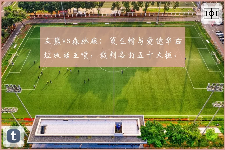 灰熊vs森林狼：莫兰特与爱德华兹垃圾话互喷，裁判各打五十大板，但此前莫兰特被罚更重
