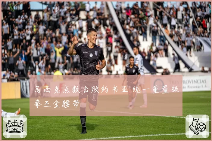 乌西克点数击败约书亚 统一重量级拳王金腰带